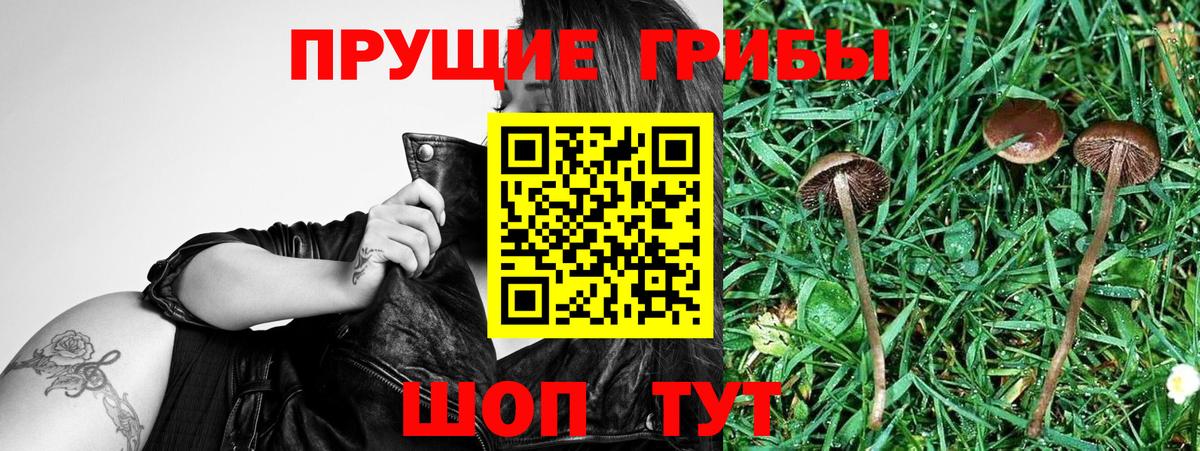 Полевской  Псилоцибиновые грибы Magic Shrooms  Вход с VPN 